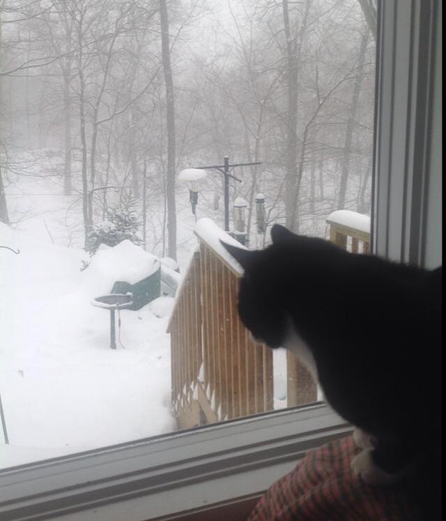 Guilford, Conn. Photo by Facebook user Linda Young.