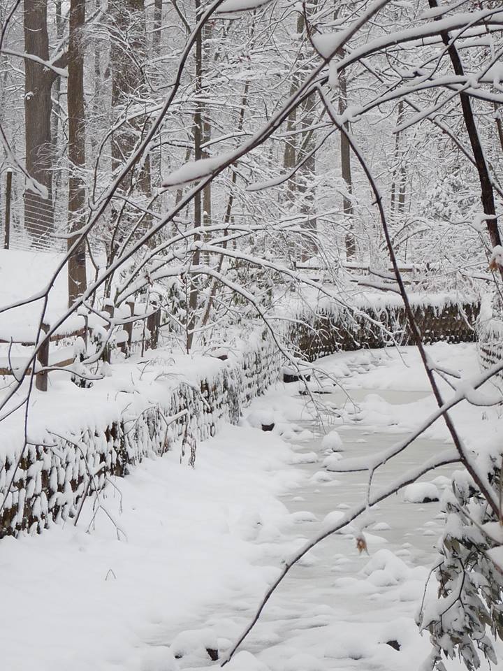 Short Hills, New Jersey. Photo by Arp Trivedi.