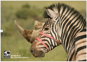 savetherhino3