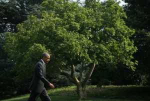 Is President Obama too cautious?