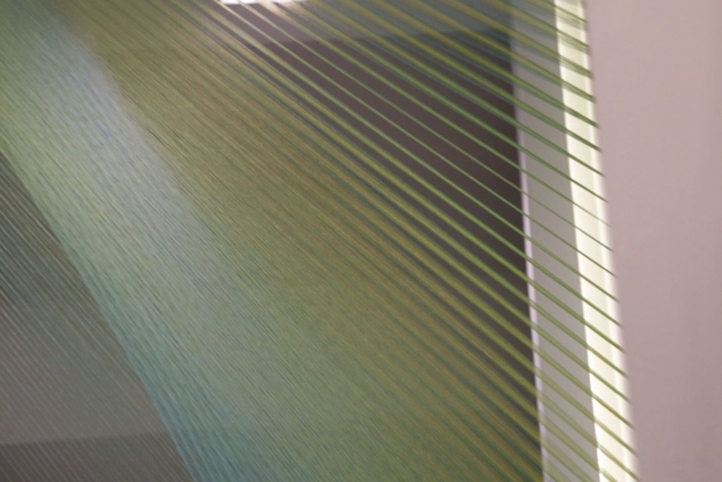 "I think with my pieces you have to see them in real life to catch the subtleties," said artist Gabriel Dawe.  