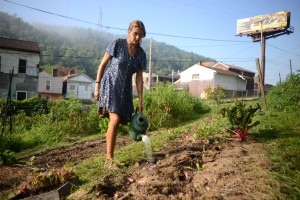 Photo essay: What's growing in West Virginia's urban ruins?