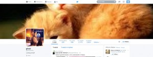 Jihadists swap gun photos for cuddly kittens on Twitter