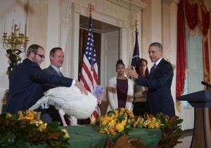 Obama uses 'executive action' to pardon turkey