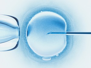 This illustration shows in vitro fertilization, in which a single sperm is injected into the cytoplasm of an egg.