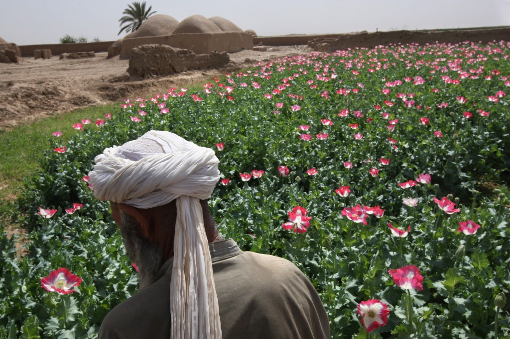 Afghan opium farmer. Photo by John Moore/Getty Images