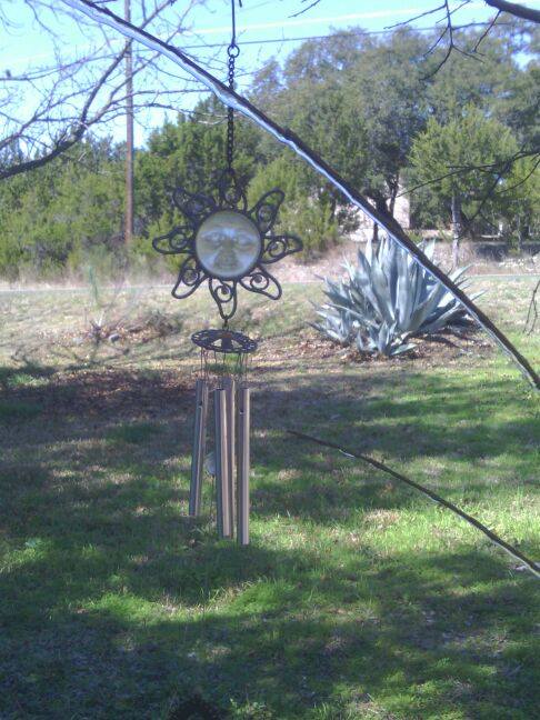 Photo taken in central Texas, by  Gayle Mcgaha. Mchaha wrote: “As the saying goes in Texas, ‘If you don't like the weather, just wait 5 minutes.’ This little sliver of ice on the branch is a remnant of the ‘central Texas ice storm’ that blew through last night.”