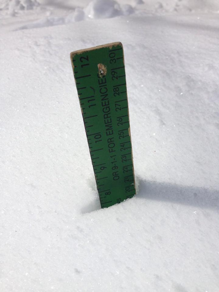 Photo shows 7.5 inches of snow in in Memphis, by Leigh Jeffrey 