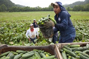 How migrants control one of the world's most powerful economic engines
