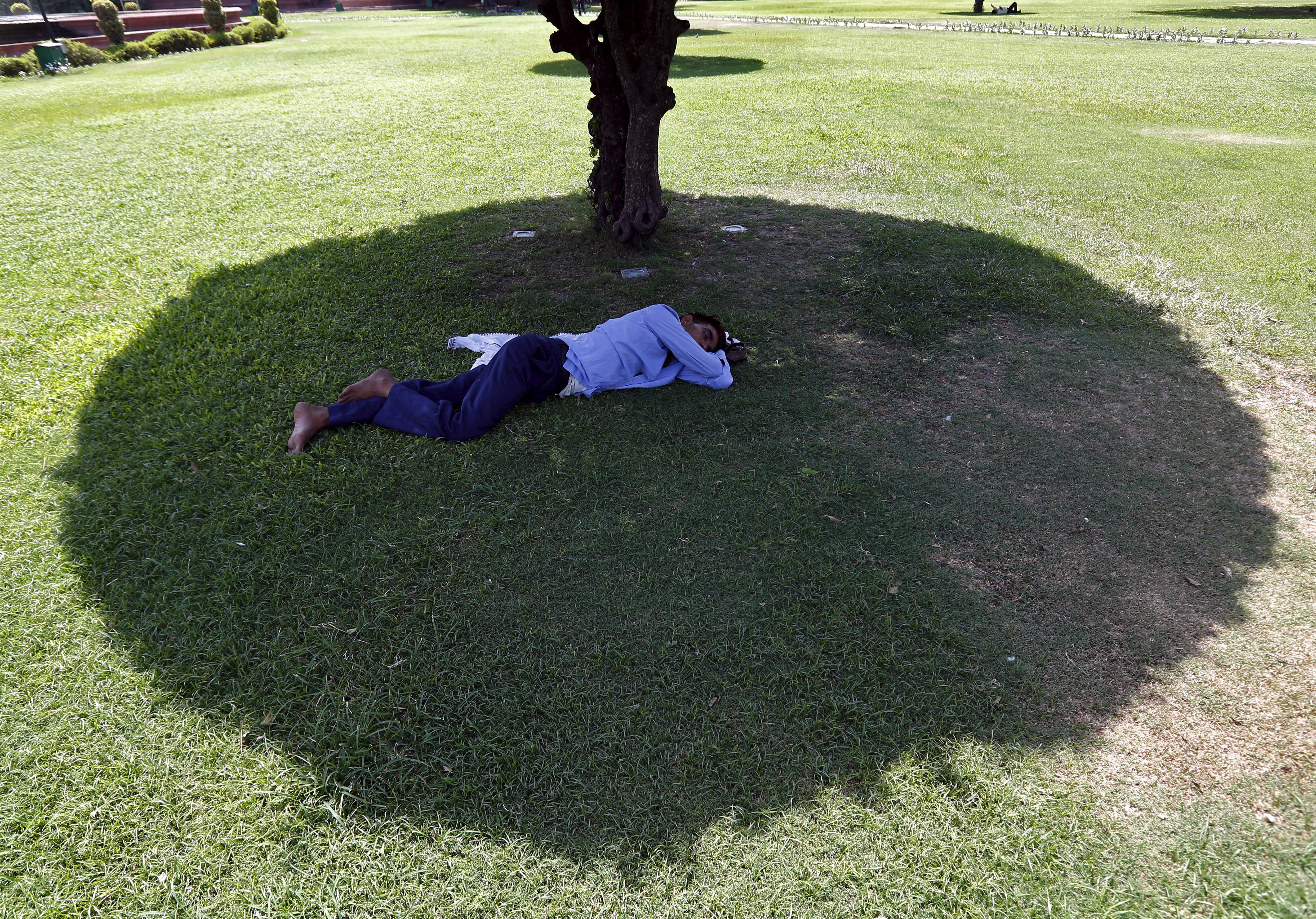 A man sleeps under the shade of a tree in a public park in New Delhi, India, May 27, 2015. Photo by Anindito Mukherjee/Reuters