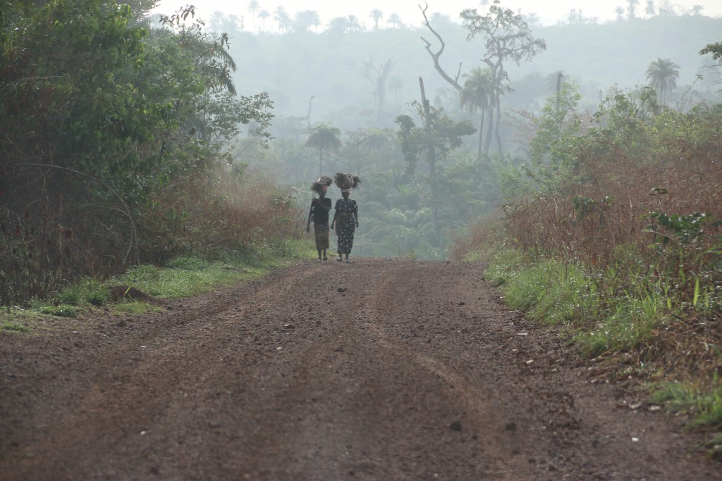 On tonight's NewsHour, the first of four pieces will air on Ebola by Miles O'Brien, Cameron Hickey and team.