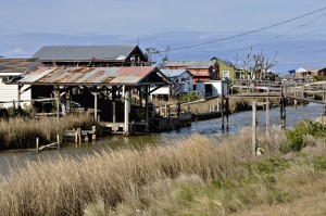 Isle de Jean Charles, Terrebonne Parish, Louisiana, USA.