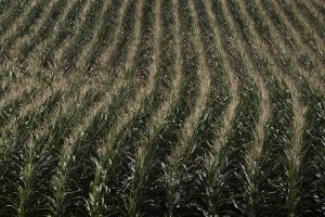 In Iowa, Trump voters cheer changes, dismiss petty fights, shake heads at focus on crowd size