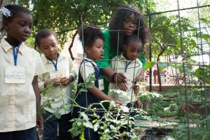 What it will take to create quality preschool for all