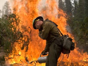 Coronavirus forces new approaches to fighting wildfires