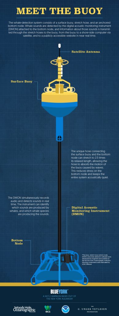 Click to view this infographic full size.