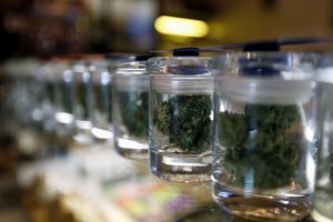 A variety of medicinal marijuana buds in jars are pictured at Los Angeles Patients &amp; Caregivers Group dispensary in West Hollywood, California U.S., October 18, 2016. Photo by Mario Anzuoni/REUTERS