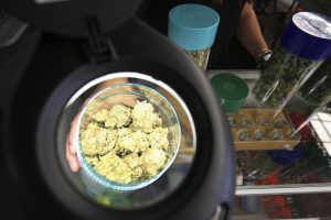 Marijuana is seen under a magnifier at the medical marijuana farmers market at the California Heritage Market in Los Angeles, California July 11, 2014. Photo by David McNew/REUTERS/File Photo