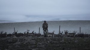 In a land of thundering reindeer, suicide stalks the indigenous Sami