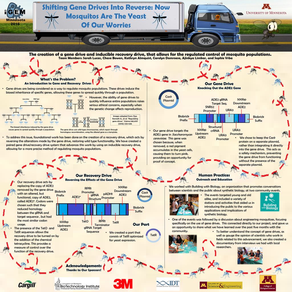 The University of Minnesota students’ research poster describes their attempt to create a reversal drive. Photo by University of Minnesota IGEM team