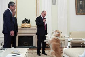 Dog diplomacy? Putin trots out dog before talks with Japan over territorial dispute