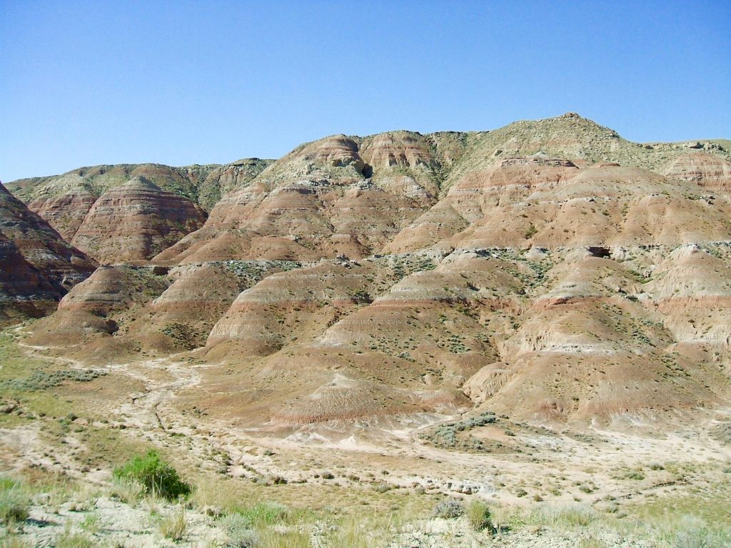 Field location within the McCullough Peaks region of the Bighorn Basin where scientists discovered evidence of mammal dwar...