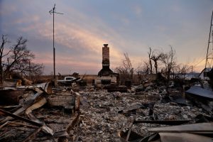 5 overlooked stories that are (almost) entirely politics-free