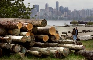 File photo of cut logs in Canada by Andy Clark/Reuters