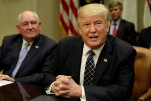 File photo of President Donald Trump by Yuri Gripas/Reuters
