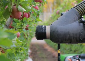What this apple-picking robot means for the future of farm workers