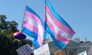 transgender flag, trans, trans flag