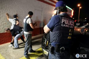 immigrant gangs