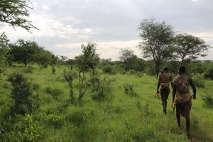 Gut microbes found in hunter-gatherers shift with the seasons