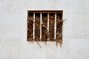 5 important stories that deserve a second look