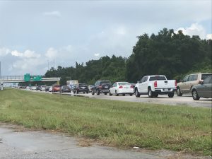 hurricane irma