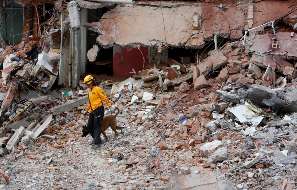 Un perro de rescate y su entrenador trabajan sobre los escombros de un edificio derrumbado después de que un terremoto gol...