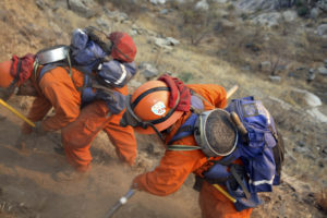 Female prisoners working in a remote mountainous area of the Witch Fire past Santa Ysabel California