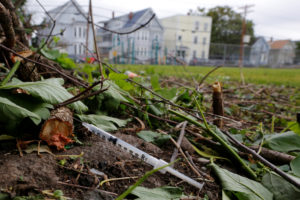 A used needle sits on the ground in a park in Lawrence, Massachusetts, U.S., May 30, 2017, where individuals were arrested earlier in the day during raids to break up heroin and fentanyl drug rings in the region, according to law enforcement officials. REUTERS/Brian Snyder