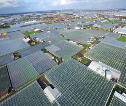 Could indoor farming help address future food shortages?