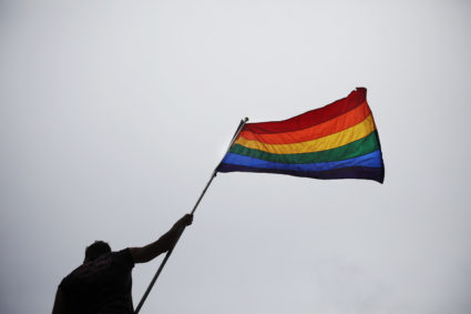 A man holds a flag as he takes part in an annual Gay Pride Parade in Toronto June 28, 2009. REUTERS/Mark Blinch (CANADA SOCIETY) - GM1E56T0IKS01