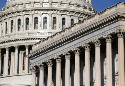 Photo of U.S. capitol by Joshua Roberts/Reuters