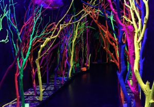 The arts collective Meow Wolf's immersive exhibition, The House of Eternal Return, has been a smash hit in New Mexico. Photo by Kathleen McCleery