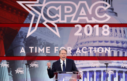 NRA Executive Vice President and CEO Wayne LaPierre speaks at the Conservative Political Action Conference (CPAC) at National Harbor, Maryland, U.S., February 22, 2018. REUTERS/Kevin Lamarque - RC1687A736A0