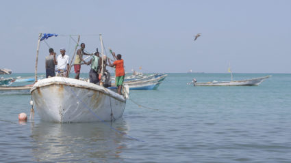 Can Somalia’s fishing industry keep pirates out of business?