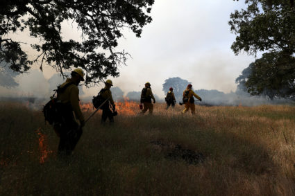 Firefighters monitor a controlled burn at Bouverie Preserve on May 30, 2017 in Glen Ellen, California. Cal Fire, U.S. Forest Service and local firefighters conducted a controlled burn as fire crews throughout the state of California prepare for what is expected to be a busy wildfire season. (Photo by Justin Sullivan/Getty Images)