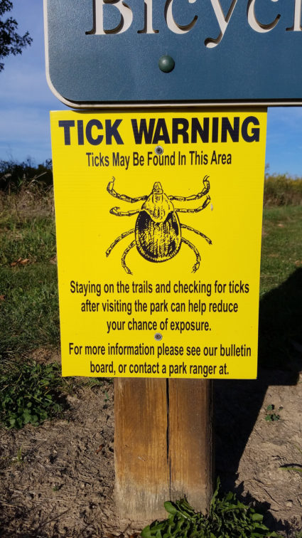 Self-cloning Asian tick causing worry in New Jersey