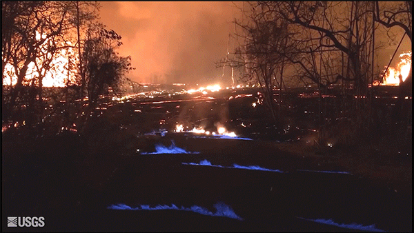 A blue burning flame of methane gas was observed in the cracks on Kahukai Street. When lava buries plants and shrubs, meth...