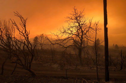 A blackened landscape is shown from wildfire damage near Keswick, California, July 27, 2018. Photo by Alexandria Sage/Reuters