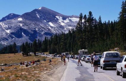 Ozone Levels in U.S. National Parks Similar to Levels in Largest U.S. Cities