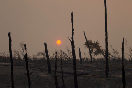 The sun sets over hills burned by the Carr Fire west of Redding, California. Photo by Bob Strong/Reuters